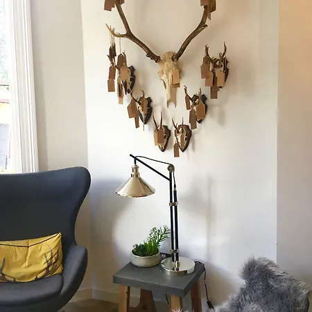 Jorvik House 5* York