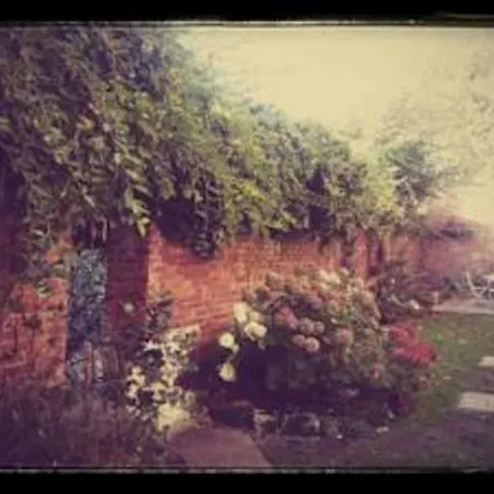 Hotel Jorvik House