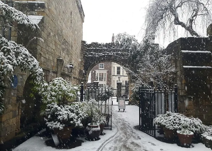 酒店 约维克房屋酒店 约克